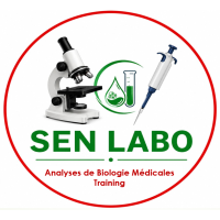 Sen Labo Training